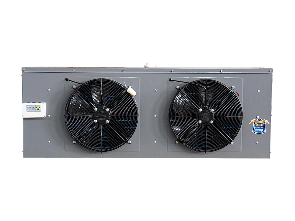 DL dalawang motor Electric defrosting air cooler