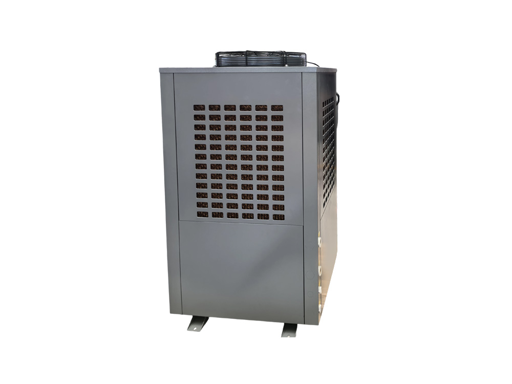 Ang side-blowing 5P workshop na nagpapalamig ng air conditioner